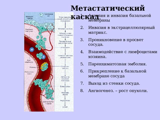 Рост опухоли в стенку полого органа называется