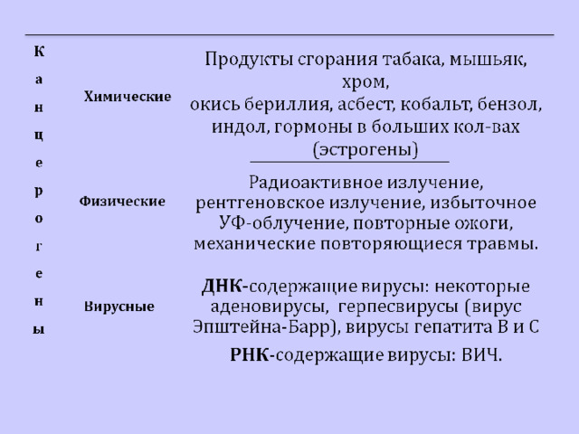 Презентация по основам патологии по теме "Опухоли"