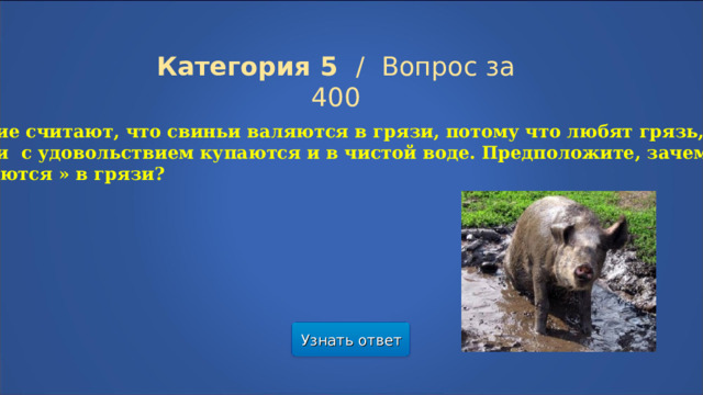 Категория 5  /  Вопрос за 400 Многие считают, что свиньи валяются в грязи, потому что любят грязь, но они с удовольствием купаются и в чистой воде. Предположите, зачем свиньи «купаются » в грязи? Узнать ответ  