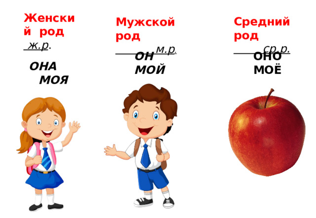 Мужской род средний род