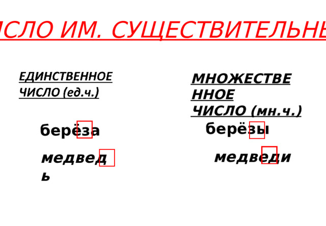 ЧИСЛО ИМ. СУЩЕСТВИТЕЛЬНЫХ МНОЖЕСТВЕННОЕ ЧИСЛО (мн.ч.) берёзы берёза медведи медведь 