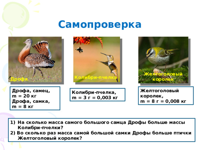 Самопроверка Желтоголовый королек Колибри-пчелка Дрофа Желтоголовый королек, Дрофа, самец, m = 20 кг m = 8 г = 0,008 кг Дрофа, самка, m = 8 кг Колибри-пчелка, m = 3 г = 0,003 кг На сколько масса самого большого самца Дрофы больше массы Колибри-пчелки? 2) Во сколько раз масса самой большой самки Дрофы больше птички Желтоголовый королек?