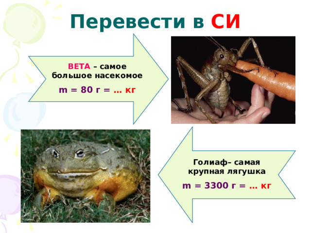 Перевести в СИ ВЕТА – самое большое насекомое m = 80 г =  …  кг Голиаф– самая крупная лягушка m = 3300 г =  …  кг