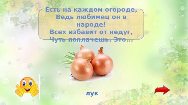 Есть на каждом огороде, Ведь любимец он в народе! Всех избавит от недуг, Чуть поплачешь. Это... лук 