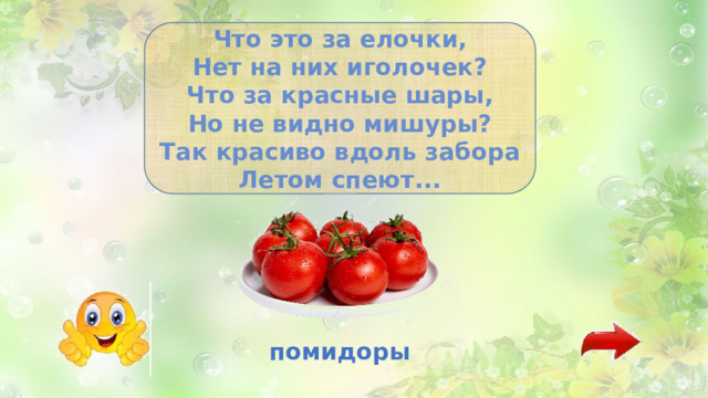 Что это за елочки, Нет на них иголочек? Что за красные шары, Но не видно мишуры? Так красиво вдоль забора Летом спеют... помидоры 