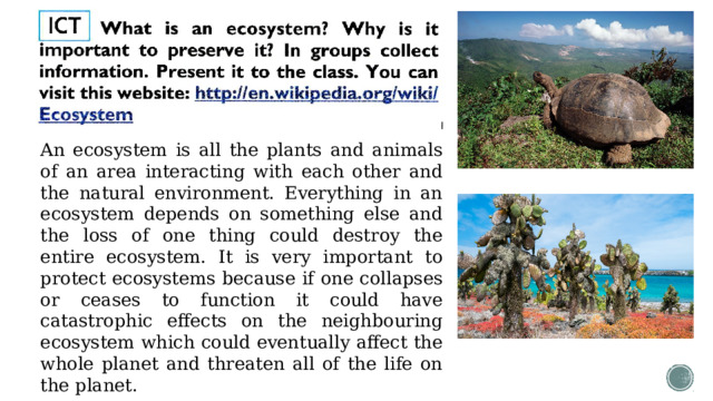 An ecosystem is all the plants and animals of an area interacting with each other and the natural environment. Everything in an ecosystem depends on something else and the loss of one thing could destroy the entire ecosystem. It is very important to protect ecosystems because if one collapses or ceases to function it could have catastrophic effects on the neighbouring ecosystem which could eventually affect the whole planet and threaten all of the life on the planet. 