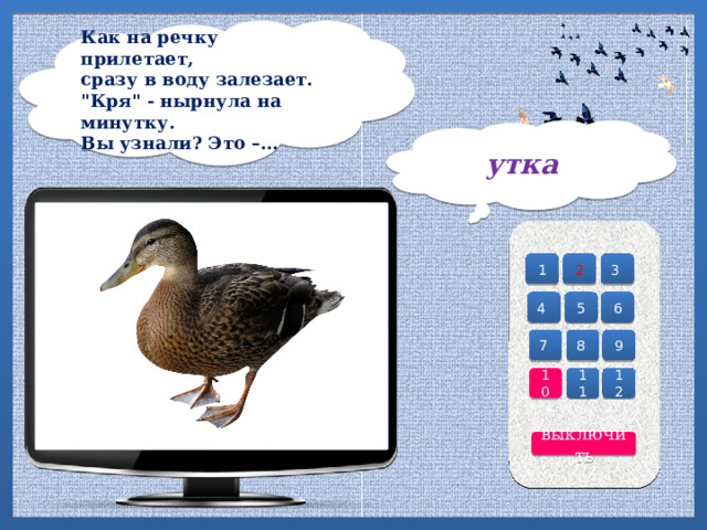 Как на речку прилетает,  сразу в воду залезает.  