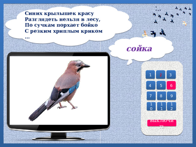 Синих крылышек красу  Разглядеть нельзя в лесу,  По сучкам порхает бойко  С резким хриплым криком ...   сойка 2 3 1 4 6 5 7 8 9 10 12 11 выключить 