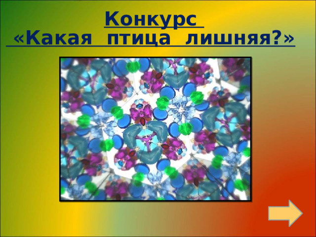 Конкурс  «Какая птица лишняя?»  