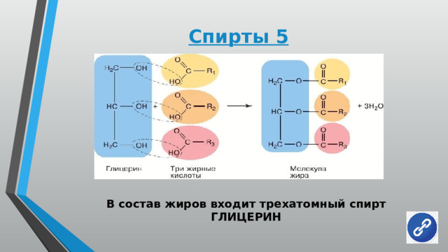 Спирты 5 В состав жиров входит трехатомный спирт ГЛИЦЕРИН 