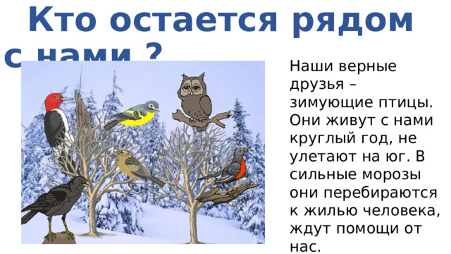  Кто остается рядом с нами ? Наши верные друзья – зимующие птицы. Они живут с нами круглый год, не улетают на юг. В сильные морозы они перебираются к жилью человека, ждут помощи от нас. 