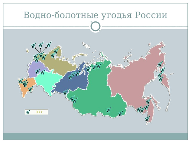 Водно-болотные угодья России 