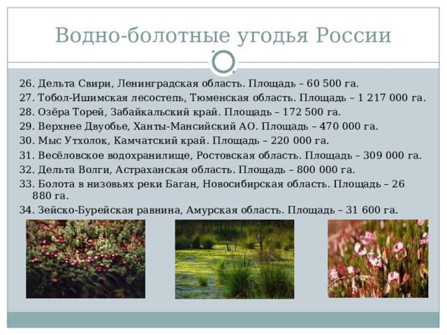 Водно-болотные угодья России 26. Дельта Свири, Ленинградская область. Площадь – 60 500 га. 27. Тобол-Ишимская лесостепь, Тюменская область. Площадь – 1 217 000 га. 28. Озёра Торей, Забайкальский край. Площадь – 172 500 га. 29. Верхнее Двуобье, Ханты-Мансийский АО. Площадь – 470 000 га. 30. Мыс Утхолок, Камчатский край. Площадь – 220 000 га. 31. Весёловское водохранилище, Ростовская область. Площадь – 309 000 га. 32. Дельта Волги, Астраханская область. Площадь – 800 000 га. 33. Болота в низовьях реки Баган, Новосибирская область. Площадь – 26 880 га. 34. Зейско-Бурейская равнина, Амурская область. Площадь – 31 600 га. 