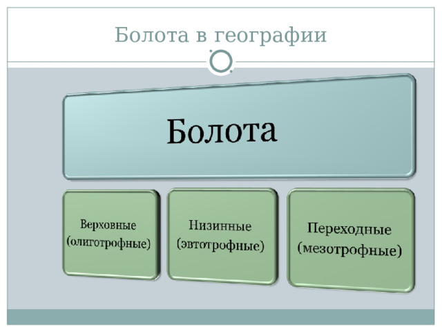 Болота в географии 