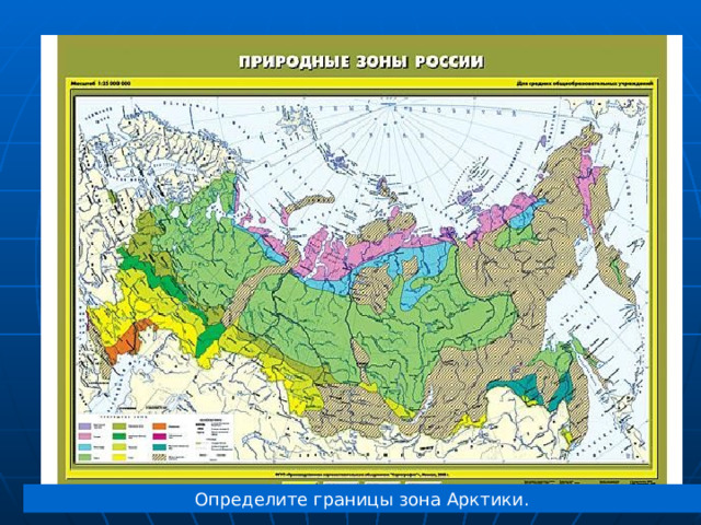 Определите границы зона Арктики. 