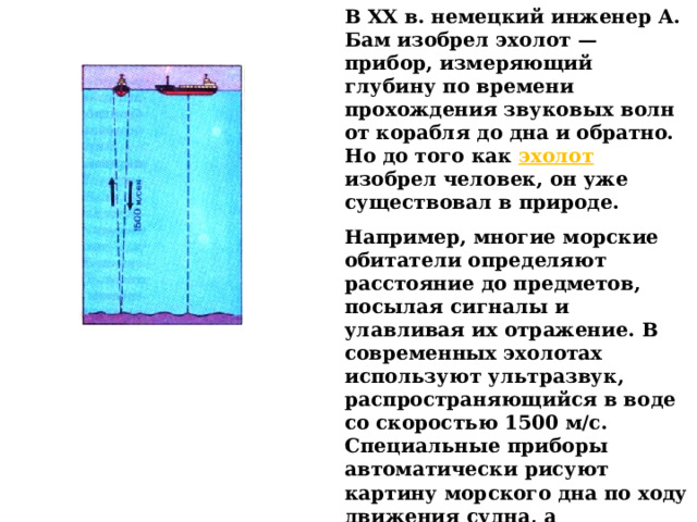 В XX в. немецкий инженер А. Бам изобрел эхолот — прибор, измеряющий глубину по времени прохождения звуковых волн от корабля до дна и обратно. Но до того как эхолот изобрел человек, он уже существовал в природе. Например, многие морские обитатели определяют расстояние до предметов, посылая сигналы и улавливая их отражение. В современных эхолотах используют ультразвук, распространяющийся в воде со скоростью 1500 м/с. Специальные приборы автоматически рисуют картину морского дна по ходу движения судна, а компьютерные программы создают объемное изображение рельефа. Эхолот позволил составить точные карты океанских глубин и представить, как выглядят подводные пейзажи.  