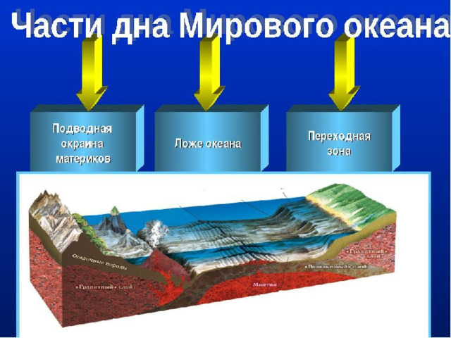 Части Мирового океана 