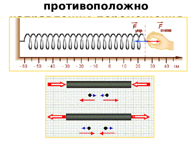 Направление силы упругости: противоположно направлению перемещения частиц при деформации 