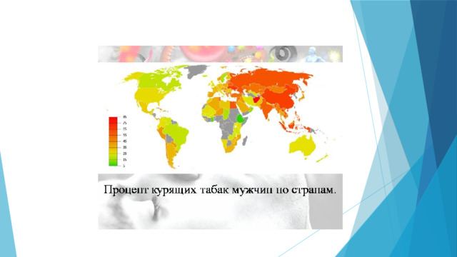 Россия курящих табак мужчин – 85% Китай курящих табак мужчин -75% Монголия курящих табак мужчин – 65% Япония курящих табак мужчин -55% Африка курящих табак мужчин -45% Часть Африки, Австралия курящих табак мужчин 35% Северная Америка курящих табак мужчин –25% Южная Америка курящих табак мужчин – 15% Северная Африка курящих табак мужчин -5%.  