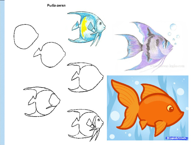 Красивые рыбы изо 1 класс презентация поэтапное