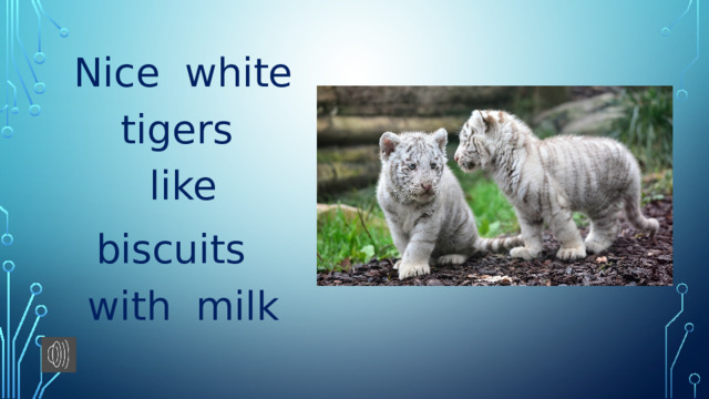 Nice white tigers like biscuits with milk 