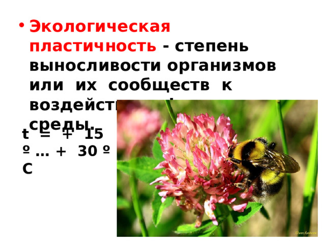Экологическая пластичность - степень выносливости организмов или их сообществ к воздействию факторов среды. t = + 15 º … + 30 º С 