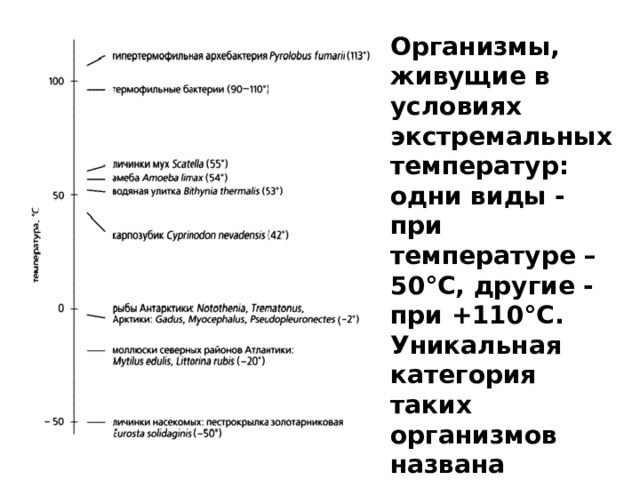 Организмы, живущие в условиях экстремальных температур: одни виды - при температуре –50°С, другие - при +110°С. Уникальная категория таких организмов названа экстремофилами . 