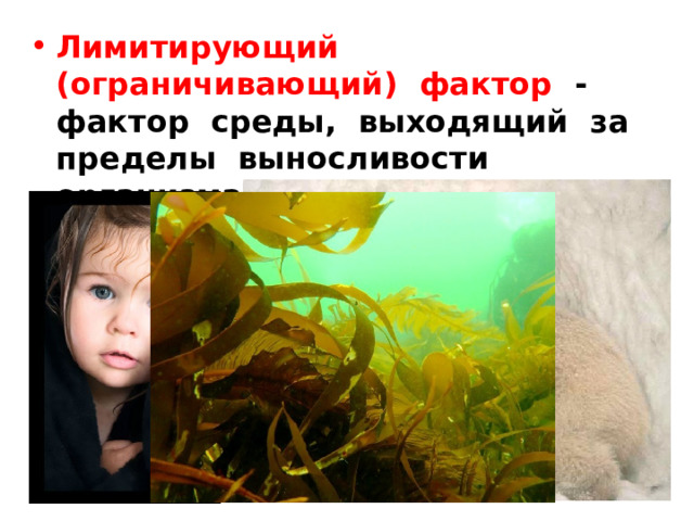 Лимитирующий (ограничивающий) фактор - фактор среды, выходящий за пределы выносливости организма. 