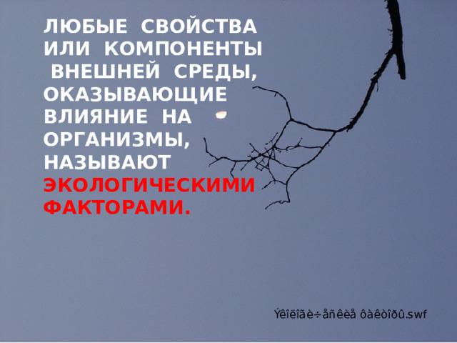  ЛЮБЫЕ СВОЙСТВА ИЛИ КОМПОНЕНТЫ ВНЕШНЕЙ СРЕДЫ, ОКАЗЫВАЮЩИЕ ВЛИЯНИЕ НА ОРГАНИЗМЫ, НАЗЫВАЮТ  ЭКОЛОГИЧЕСКИМИ ФАКТОРАМИ. 