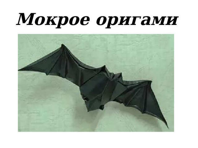 Мокрое оригами 