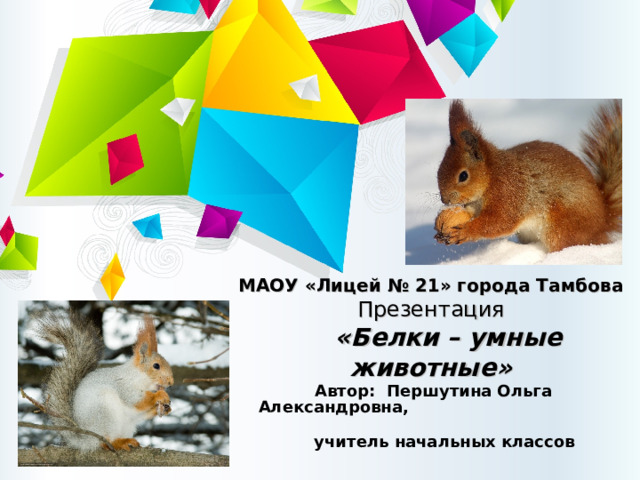 МАОУ «Лицей № 21» города Тамбова Презентация  «Белки – умные животные» Автор: Першутина Ольга Александровна,  учитель начальных классов  