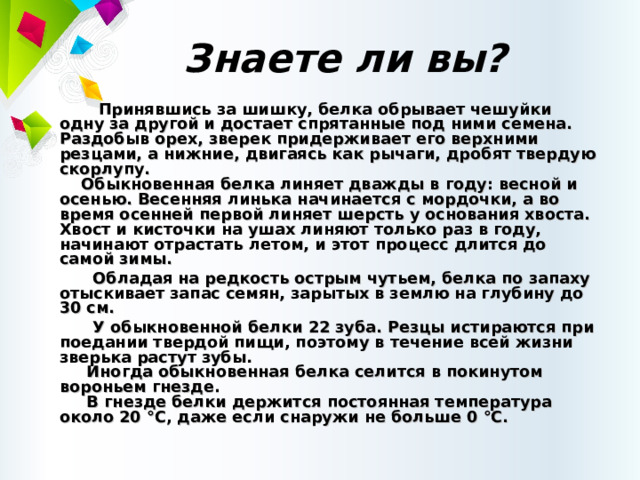 Знаете ли вы?  Принявшись за шишку, белка обрывает чешуйки одну за другой и достает спрятанные под ними семена. Раздобыв орех, зверек придерживает его верхними резцами, а нижние, двигаясь как рычаги, дробят твердую скорлупу.  Обыкновенная белка линяет дважды в году: весной и осенью. Весенняя линька начинается с мордочки, а во время осенней первой линяет шерсть у основания хвоста. Хвост и кисточки на ушах линяют только раз в году, начинают отрастать летом, и этот процесс длится до самой зимы.  Обладая на редкость острым чутьем, белка по запаху отыскивает запас семян, зарытых в землю на глубину до 30 см.  У обыкновенной белки 22 зуба. Резцы истираются при поедании твердой пищи, поэтому в течение всей жизни зверька растут зубы.  Иногда обыкновенная белка селится в покинутом вороньем гнезде.  В гнезде белки держится постоянная температура около 20 °С, даже если снаружи не больше 0 °С.  