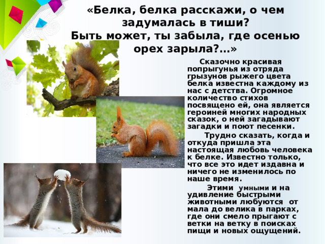 Белки глаз при желтухе. Болезни по радужке глаза человека. Строение глаза белок. Белок глаза с красными прожилками. Желто красные глаза.