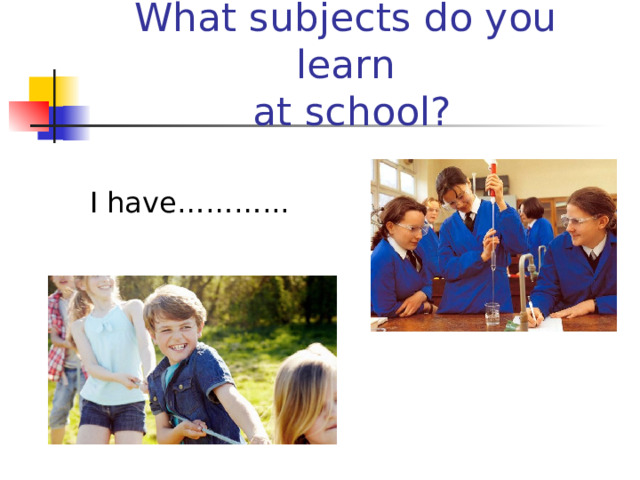 What subjects do you learn  at school?    I have………... 