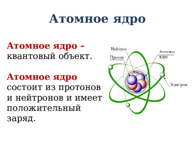 Атомное ядро Атомное ядро – квантовый объект. Атомное ядро состоит из протонов и нейтронов и имеет положительный заряд. 