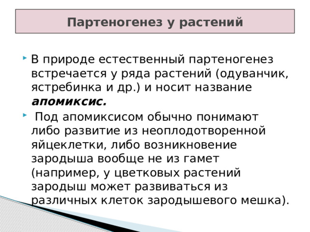 Партеногенез у растений В природе естественный партеногенез встречается у ряда растений (одуванчик, ястребинка и др.) и носит название апомиксис.  Под апомиксисом обычно понимают либо развитие из неоплодотворенной яйцеклетки, либо возникновение зародыша вообще не из гамет (например, у цветковых растений зародыш может развиваться из различных клеток зародышевого мешка). 