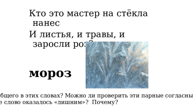 Кто это мастер на стёкла нанес И листья, и травы, и заросли роз? мороз   Что общего в этих словах? Можно ли проверить эти парные согласные? Какое слово оказалось «лишним»? Почему? 