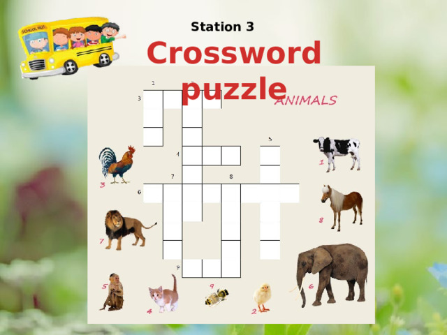 Station 3 Crossword puzzle 