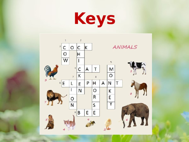 Keys 