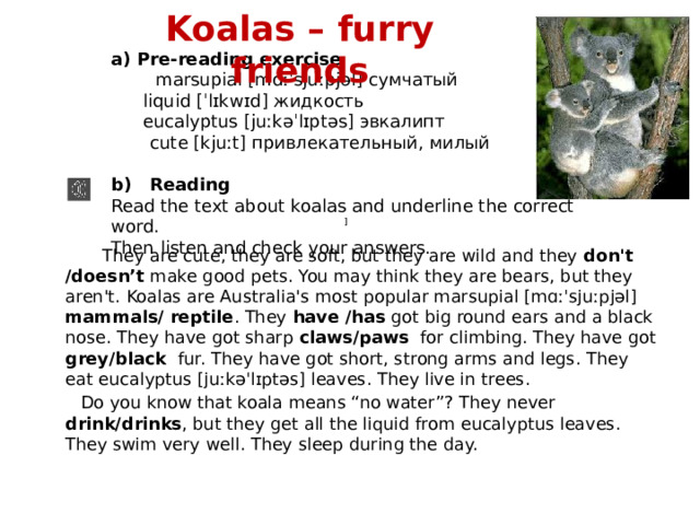 Koalas – furry friends Pre-reading exercise  marsupial [mɑːˈsjuːpjəl] сумчатый  liquid [ˈlɪkwɪd] жидкость  eucalyptus [juːkəˈlɪptəs] эвкалипт  cute [kjuːt] привлекательный, милый b) Reading Read the text about koalas and underline the correct word. Then listen and check your answers.    ]  They are cute, they are soft, but they are wild and they don't /doesn’t make good pets. You may think they are bears, but they aren't. Koalas are Australia's most popular marsupial [mɑːˈsjuːpjəl] mammals/ reptile . They have /has got big round ears and a black nose. They have got sharp claws/paws for climbing. They have got grey/black fur. They have got short, strong arms and legs. They eat eucalyptus [juːkəˈlɪptəs] leaves. They live in trees.  Do you know that koala means “no water”? They never drink/drinks , but they get all the liquid from eucalyptus leaves. They swim very well. They sleep during the day. 