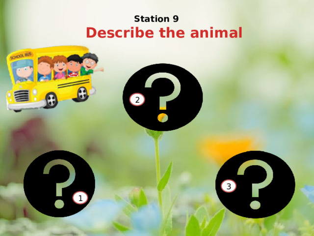 Station 9 Describe the animal 2 3 1 