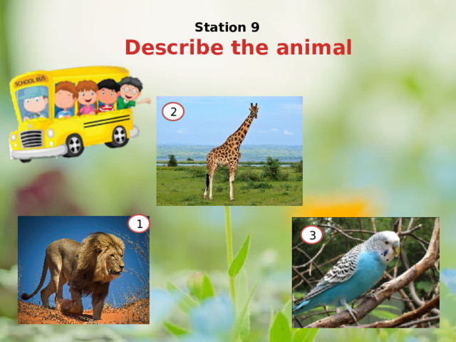 Station 9 Describe the animal 2 1 3 