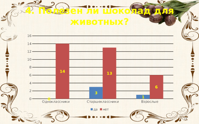 4.  Полезен ли шоколад для животных?  