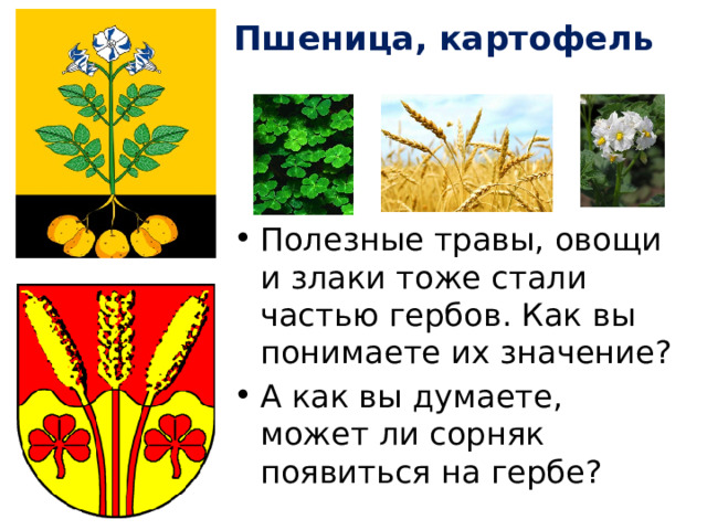 Пшеница, картофель Полезные травы, овощи и злаки тоже стали частью гербов. Как вы понимаете их значение? А как вы думаете, может ли сорняк появиться на гербе? 