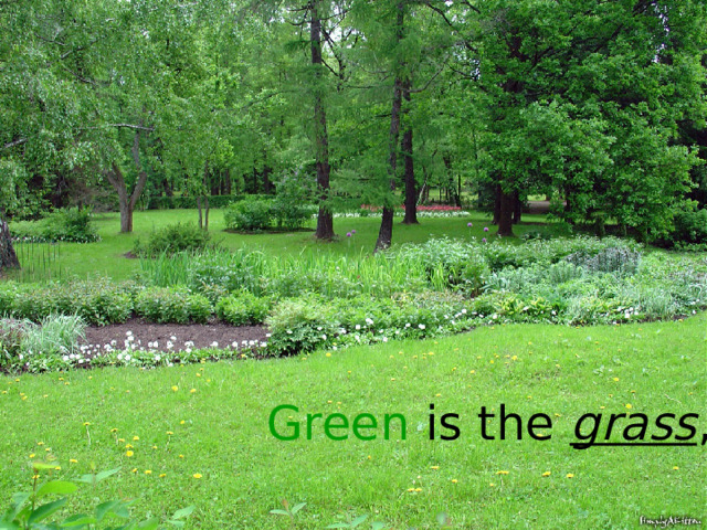 Green is the grass , 
