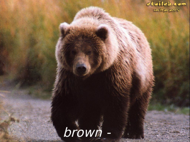 brown - коричневый 