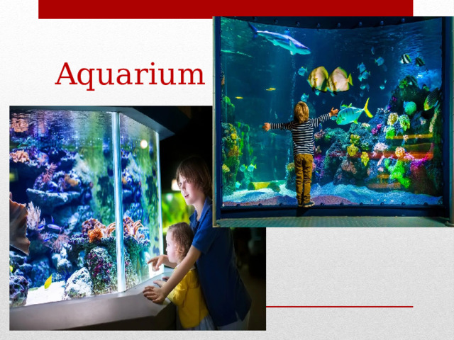 Aquarium 