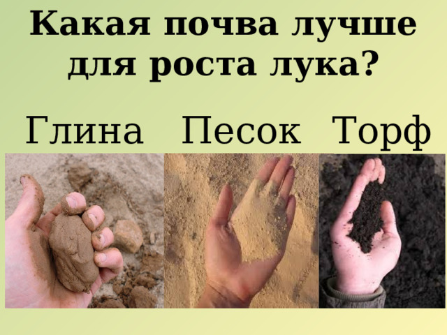 Какая почва лучше для роста лука? Глина Песок Торф 