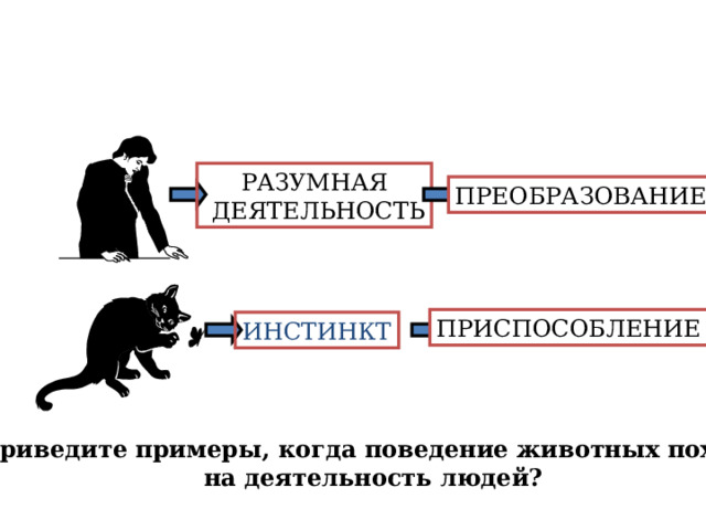 РАЗУМНАЯ  ДЕЯТЕЛЬНОСТЬ ПРЕОБРАЗОВАНИЕ ПРИСПОСОБЛЕНИЕ ИНСТИНКТ Приведите примеры, когда поведение животных похоже на деятельность людей? 