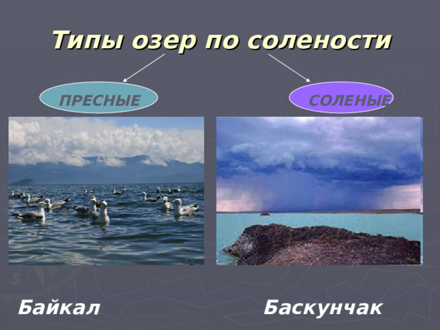 Типы озер по солености ПРЕСНЫЕ СОЛЕНЫЕ  Байкал  Баскунчак 